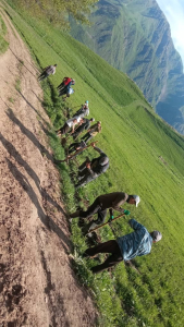 Айыл башчылардын иштери боюнча